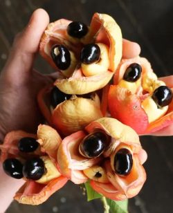 Ackee