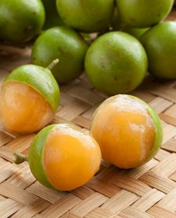 Guinep