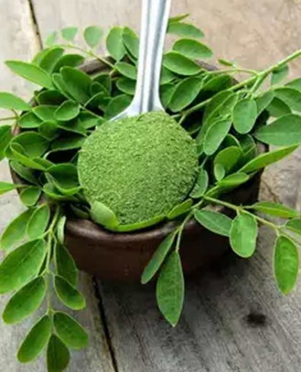 Moringa