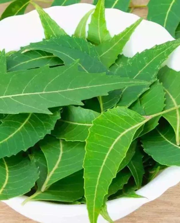 Neem