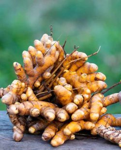 Tumeric
